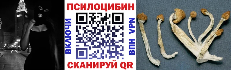 Галлюциногенные грибы MAGIC MUSHROOMS  площадка наркотические препараты  Гулькевичи 